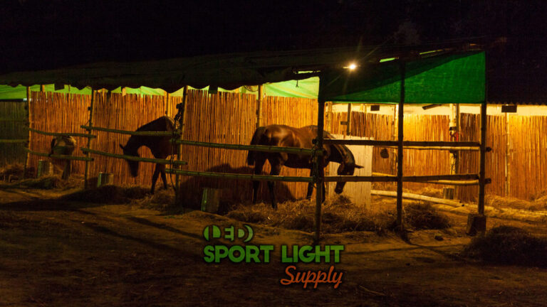 How Does Lighting Effect Horses Health Winter Coat And Reproduction Sport Light Supply