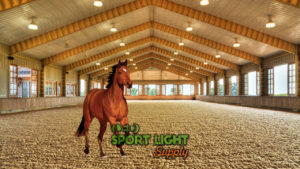 how to diy horse arena lighting