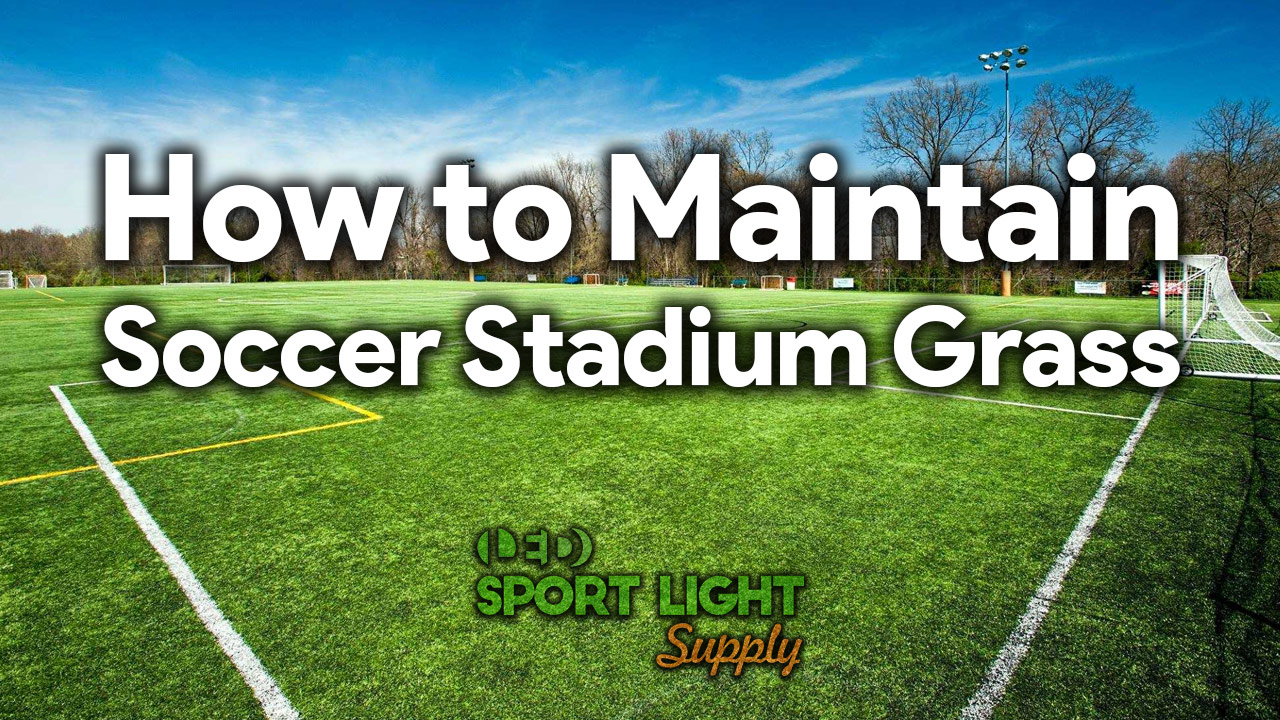 how to maintain soccer field and football stadium grass