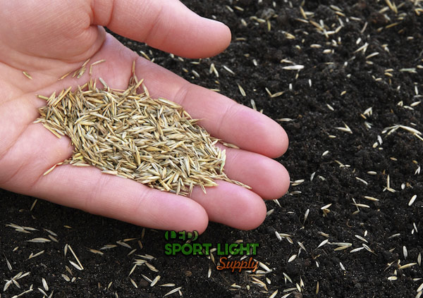 importance of selecting the good grass seeds