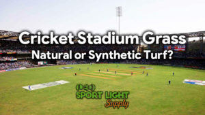 natural grass sod or synthetic turf for cricket stadium