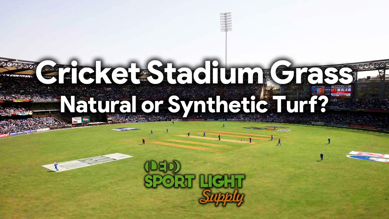 natural grass sod or synthetic turf for cricket stadium