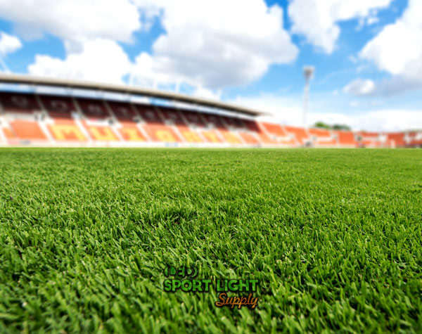real grass in soccer stadium